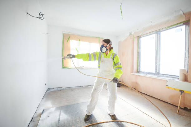 Best Ceiling Drywall Installation  in Bowling Green, MO