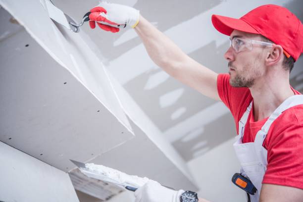 Best Water-Damaged Drywall Repair  in Bowling Green, MO